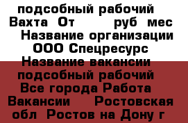 подсобный рабочий . Вахта. От 30 000 руб./мес. › Название организации ­ ООО Спецресурс › Название вакансии ­ подсобный рабочий - Все города Работа » Вакансии   . Ростовская обл.,Ростов-на-Дону г.